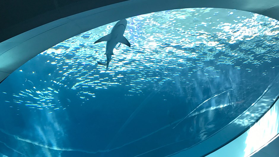 museum-frost-aquarium